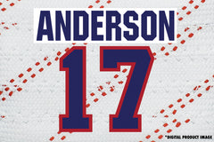 Josh Anderson #17