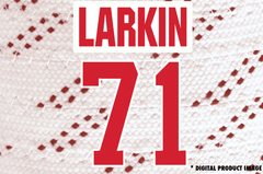 Dylan Larkin #71